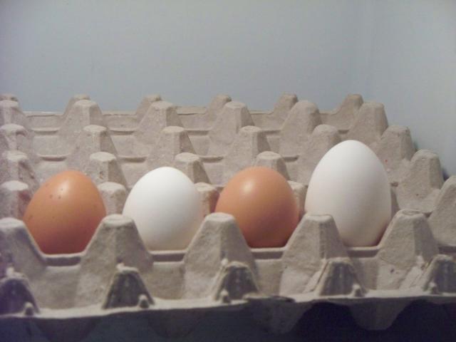 69907_100_3197.jpg