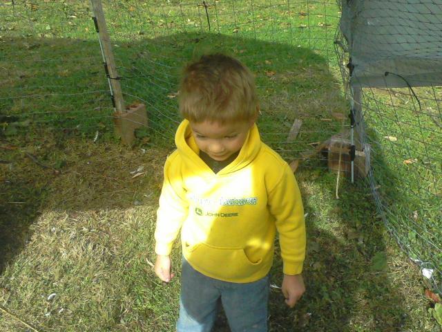 70002_1020101132a.jpg