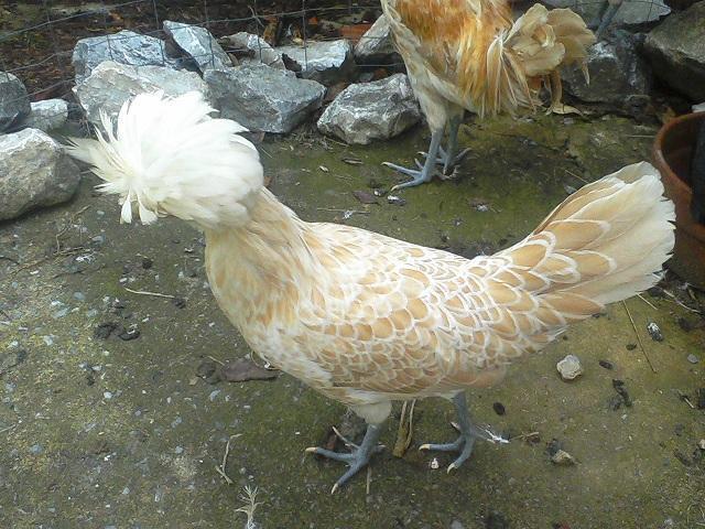 70002_1020101133.jpg