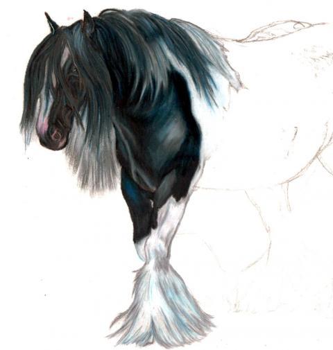 70005_horse_pencil.jpg