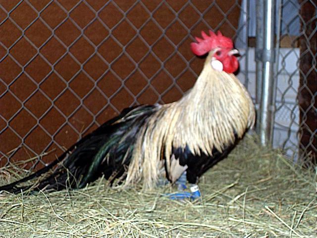 70005_sdc11575.jpg