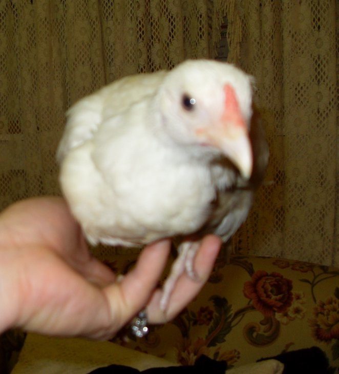 70005_sdc14044.jpg