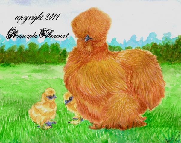 70005_silkie_and_chicks.jpg