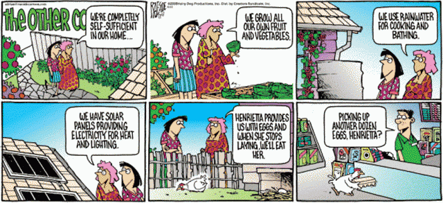 70238_chicken_cartoon.gif