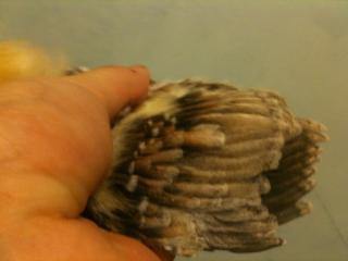 70278_131.jpg