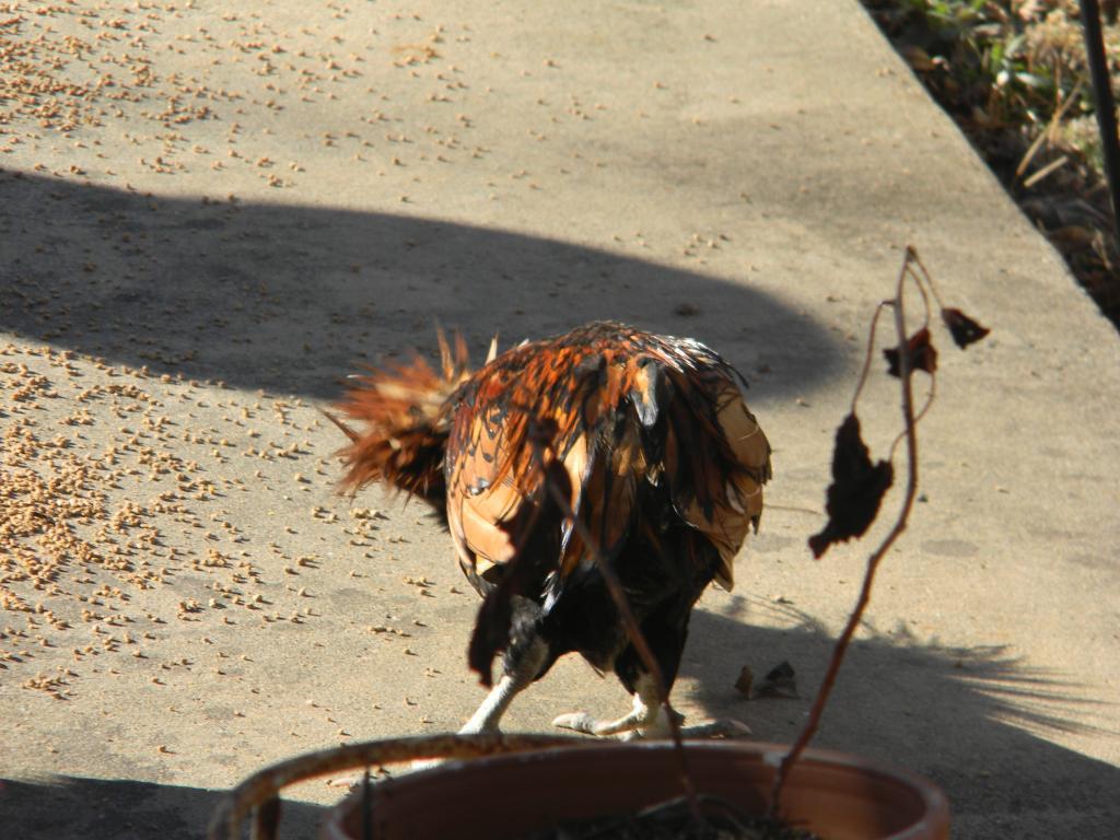 70328_004.jpg