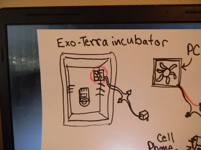 70328_exo-terra_incubator_001.jpg