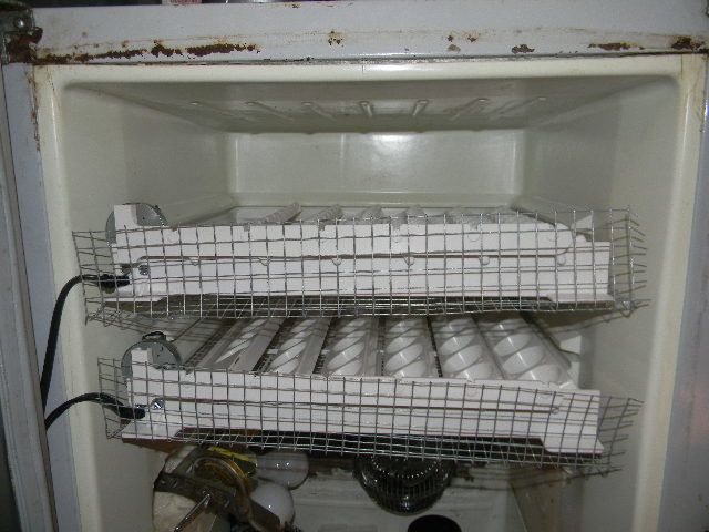 70328_fridgebatorwafer_007.jpg