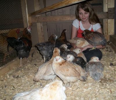 70344_100_2091_rachael_and_the_chicks_april_28_2011.jpg