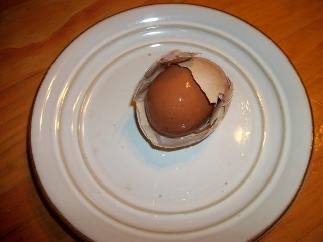 7036_1st_egg_within_an_egg_2010_020.jpg
