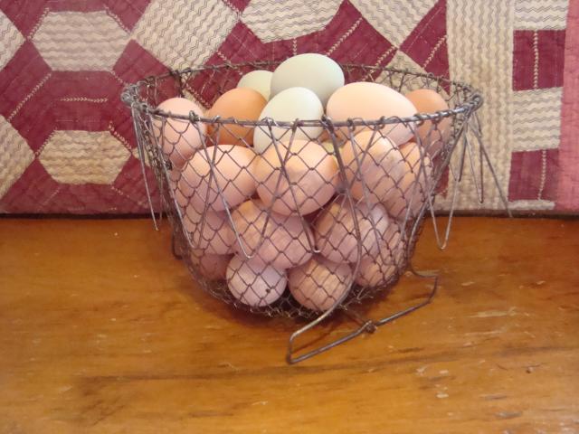 7036_egg_basket_003.jpg