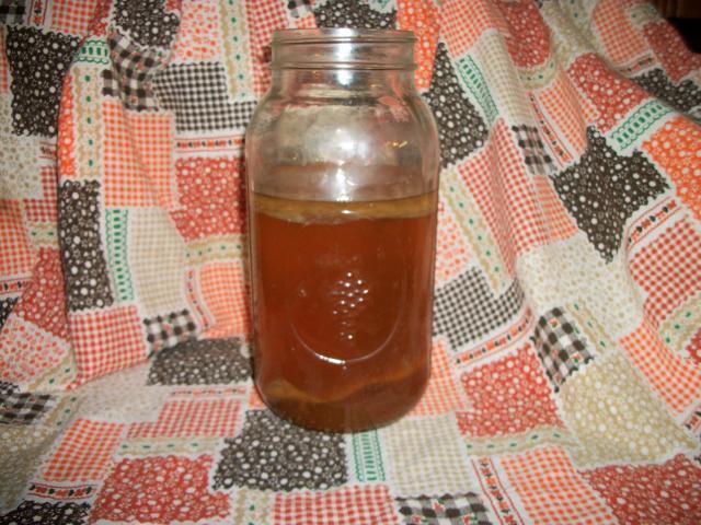 7036_kefir_grains_and_kombucha_culture_006.jpg