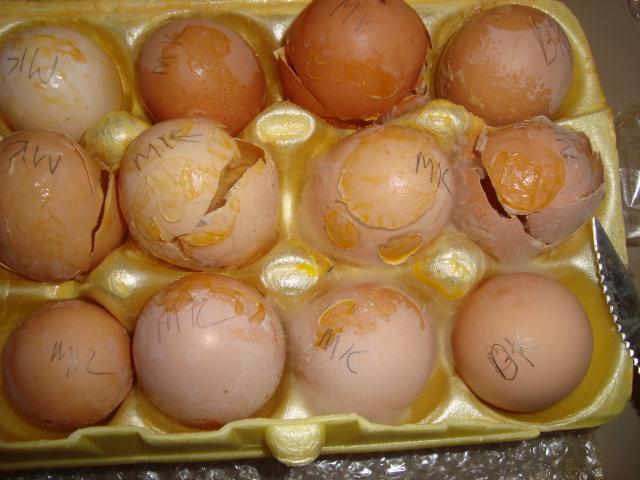 7036_smashed_eggs_067.jpg