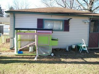 70394_coop_11-28-10_2.jpg