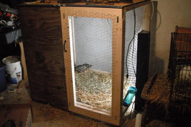 70432_quail_pen.jpg