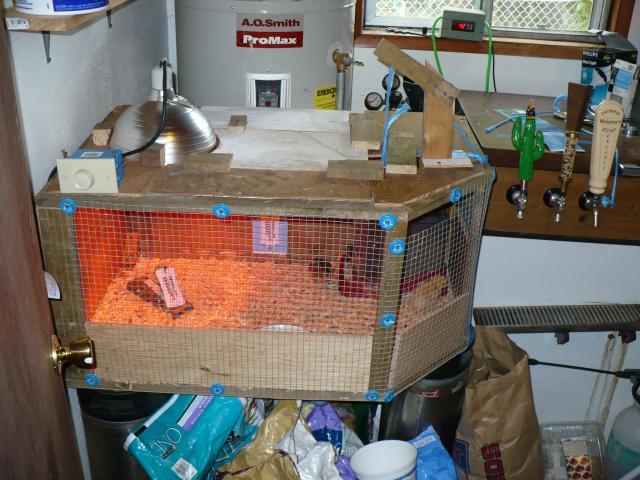 70460_p1010358.jpg