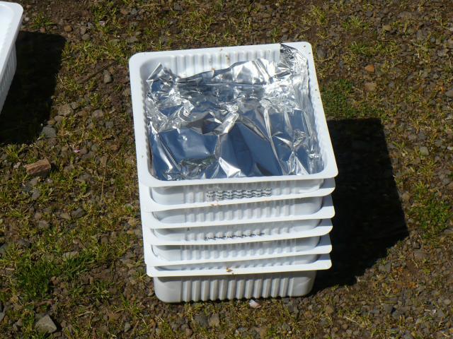 70460_p1010400.jpg