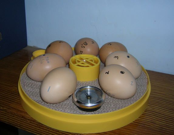 70557_lockdown.jpg