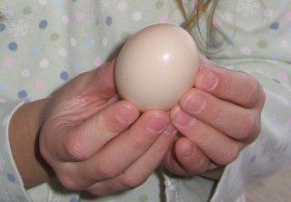 7095_eggs_dec_07_first_one.jpg