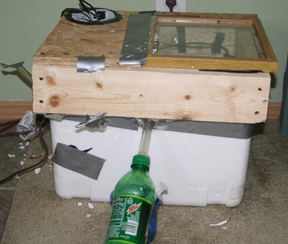 70972_img_5211.jpg