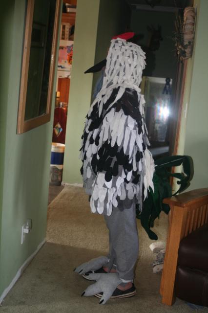 70972_img_6102.jpg