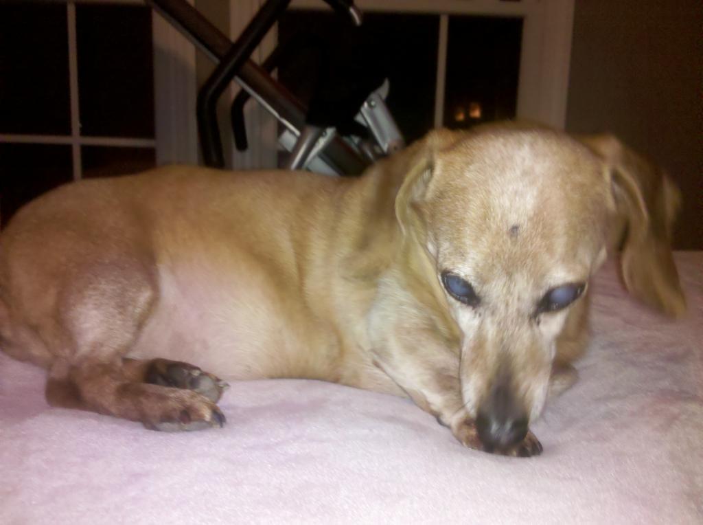 71014_madison_1.jpeg