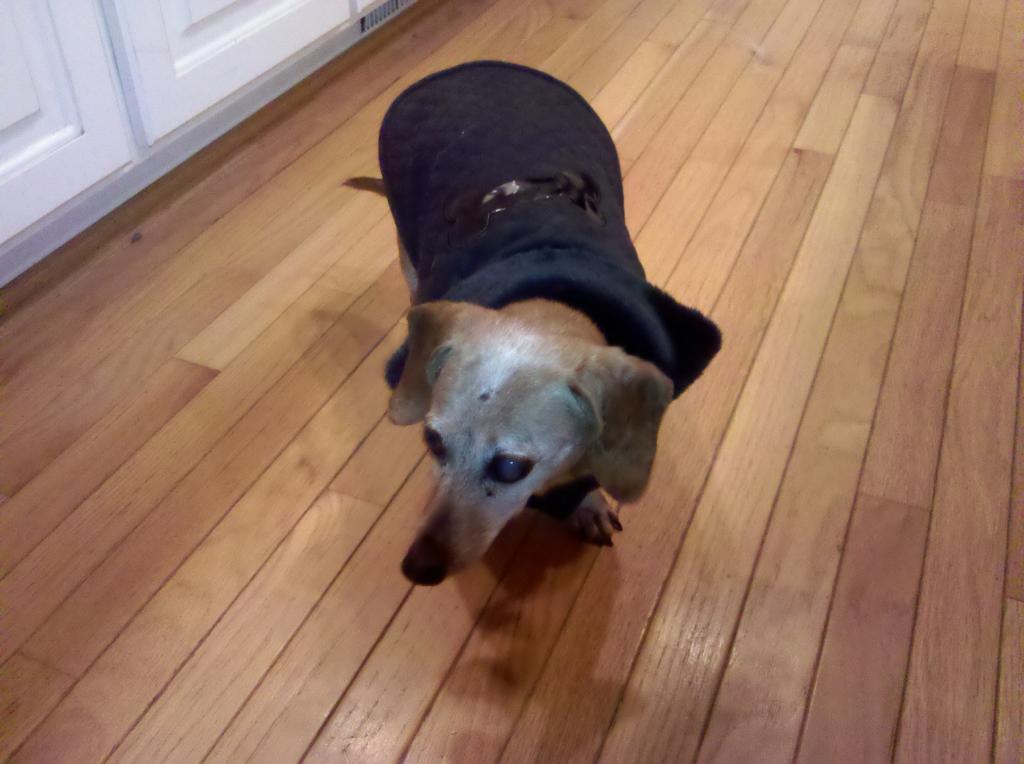 71014_madison_2.jpeg