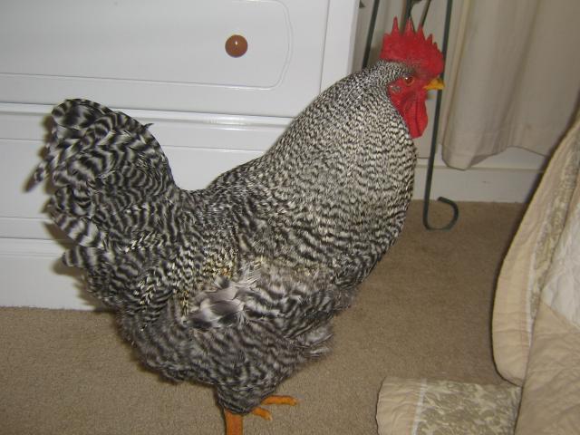 71035_img_2027.jpg