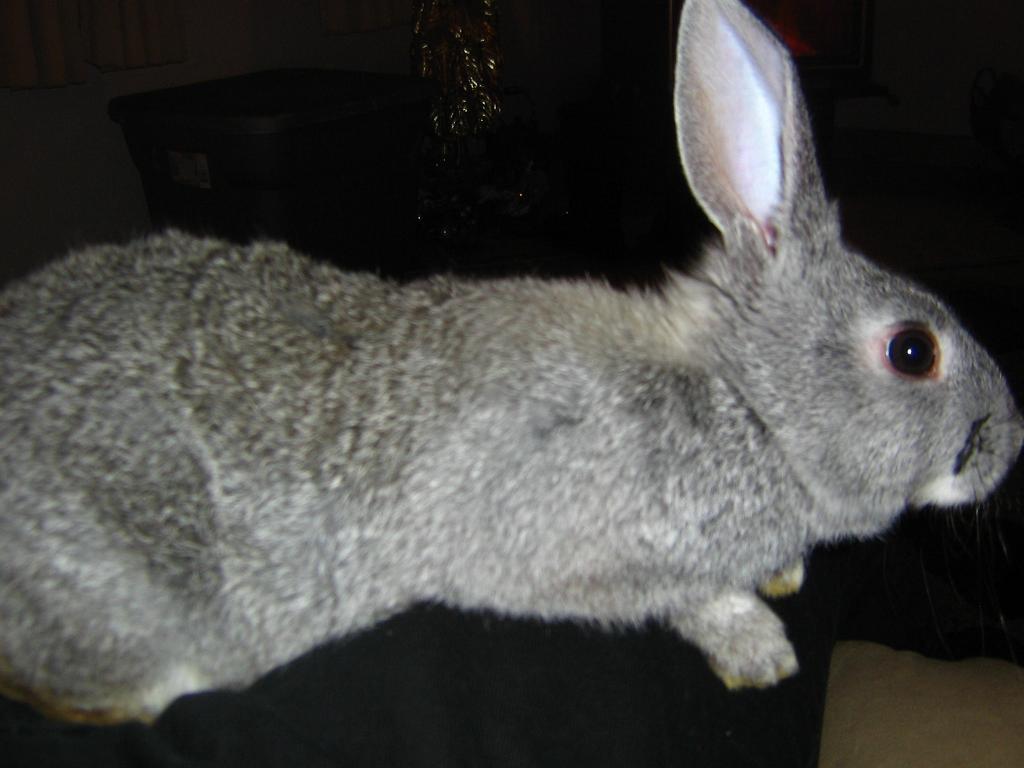 71035_img_3571.jpg