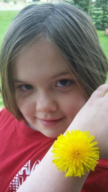 7110_002.jpg