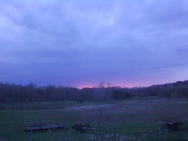 7110_05072037.jpg