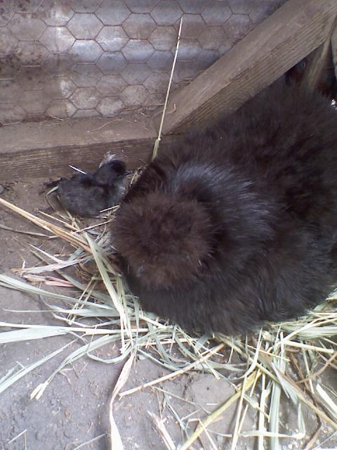 7110_0808011604.jpg