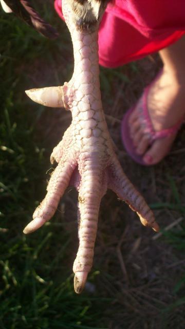 7110_radarfeet.jpg