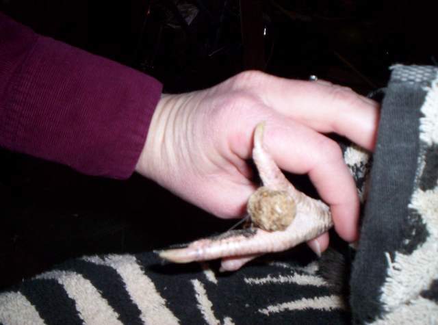 7123_100_9330.jpg