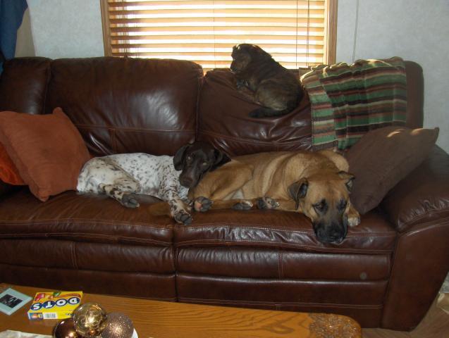 7132_loaded_01-11-2010_009.jpg
