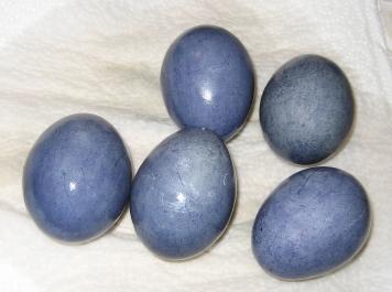 71344_blueeggs3.jpg