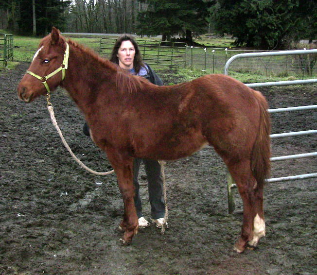 71344_waylondec1.jpg