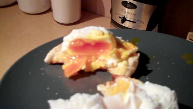 71396_1st_egg_eaten.jpg