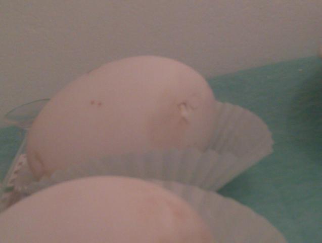 71568_imag0584.jpg