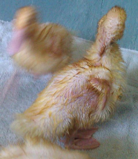 71568_imag0729.jpg