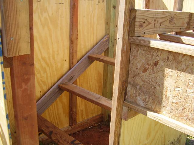 71659_coop_4_30_11_004.jpg