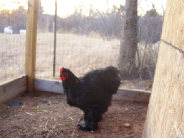 71659_picture_016.jpg