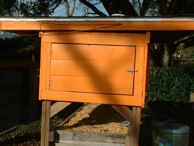 71806_chickens_december_2010_013.jpg