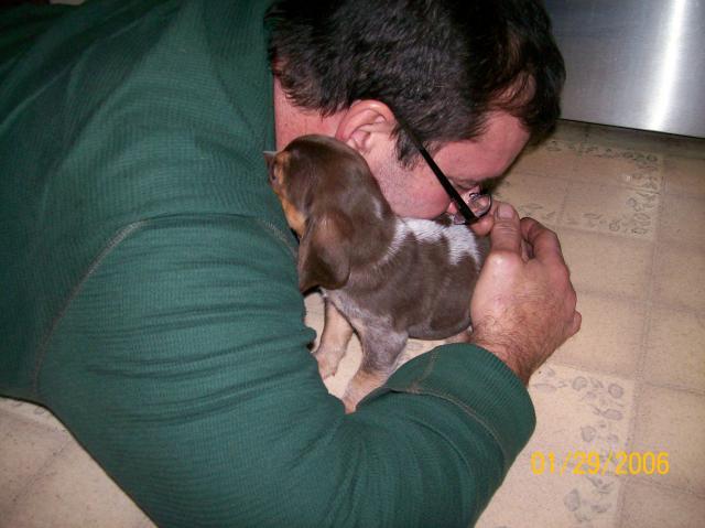 7196_pups_005.jpg