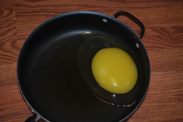 7205_emu_egg_in_skillet.jpg
