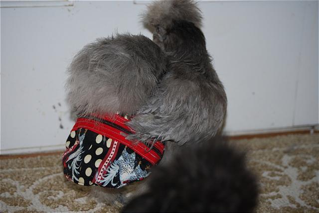 7205_sophie_zippy_drawers.jpg