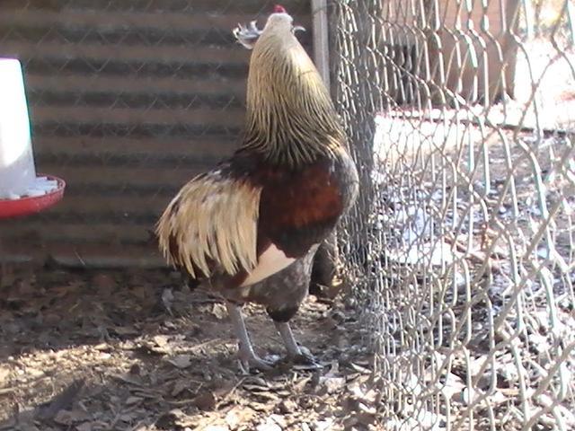 7227_pic_0147.jpg