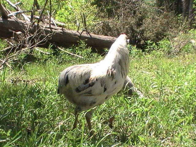 7227_pic_5931.jpg