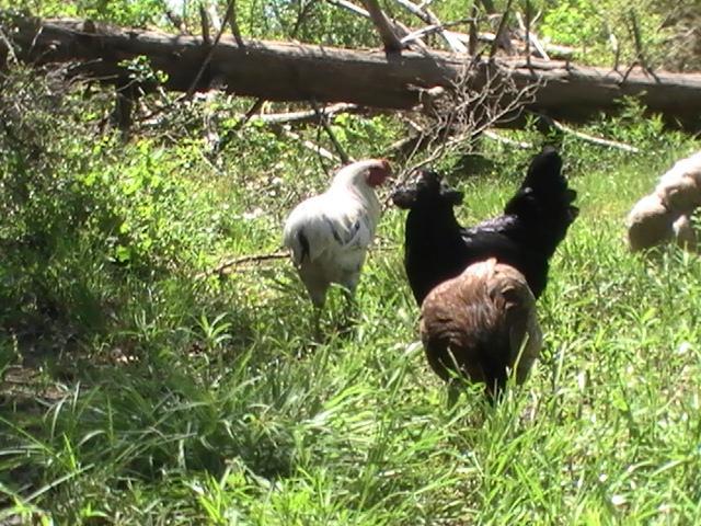 7227_pic_6028.jpg