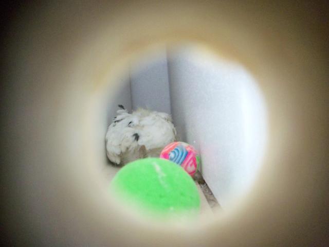 72494_100_2810.jpg